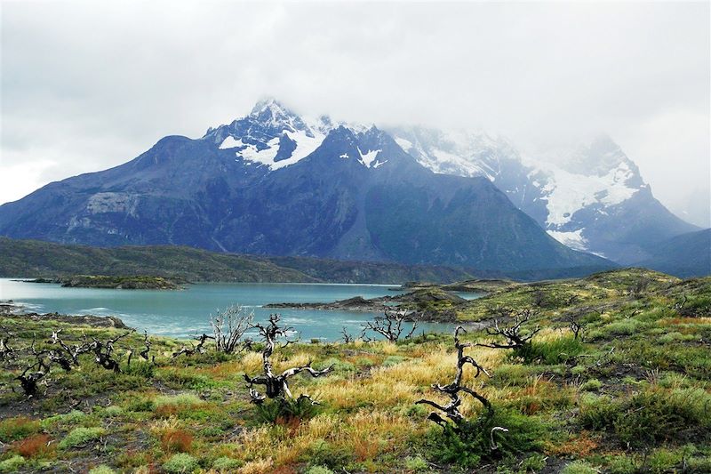 Le lago Nordenskjöld dans le Parc national Torres del Paine - Chili
