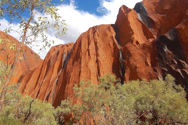 Uluru (Ayers rocks) - Red Center - Territoire du Nord - Australie