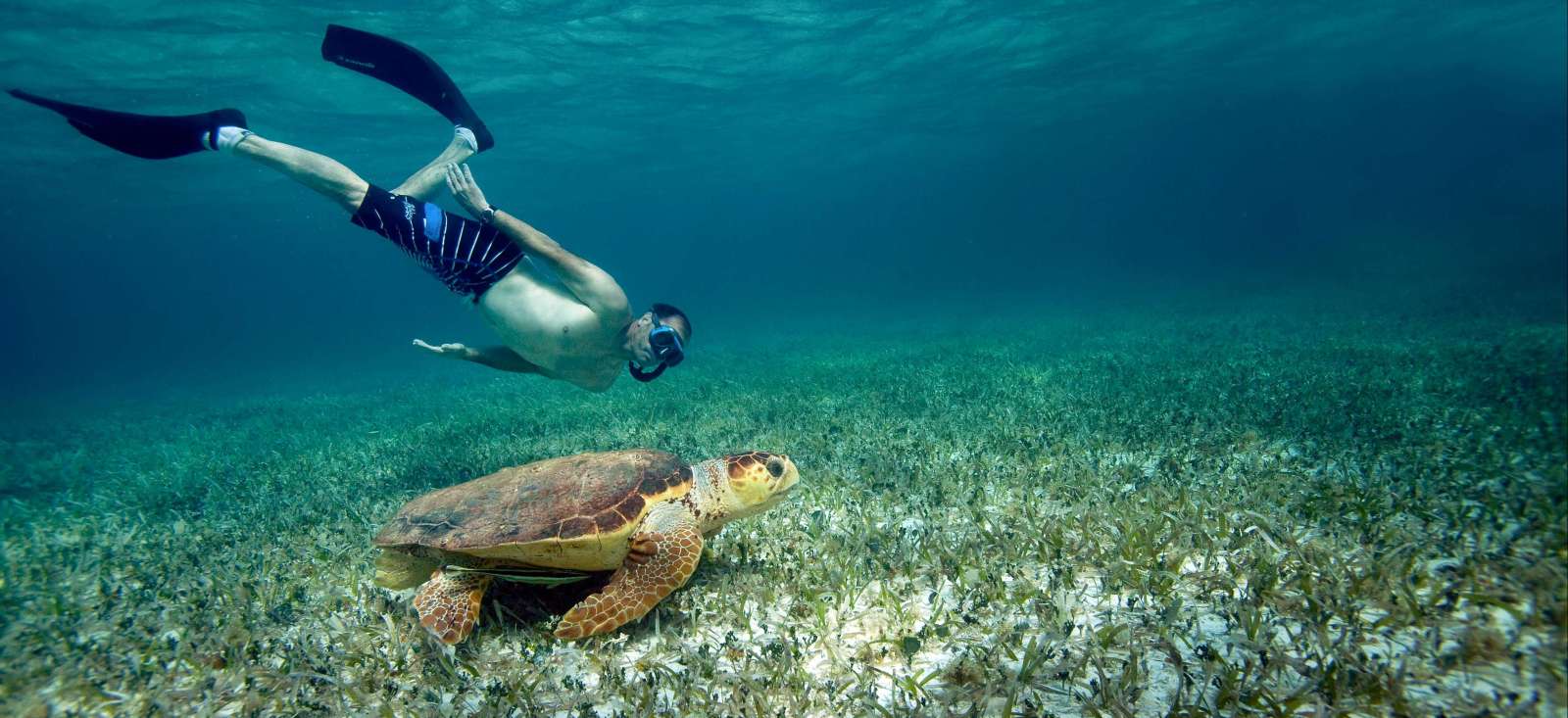 Voyage découverte Belize : Le trésor des Caraïbes Voyage découverte - Belize : Le trésor des Caraïbes