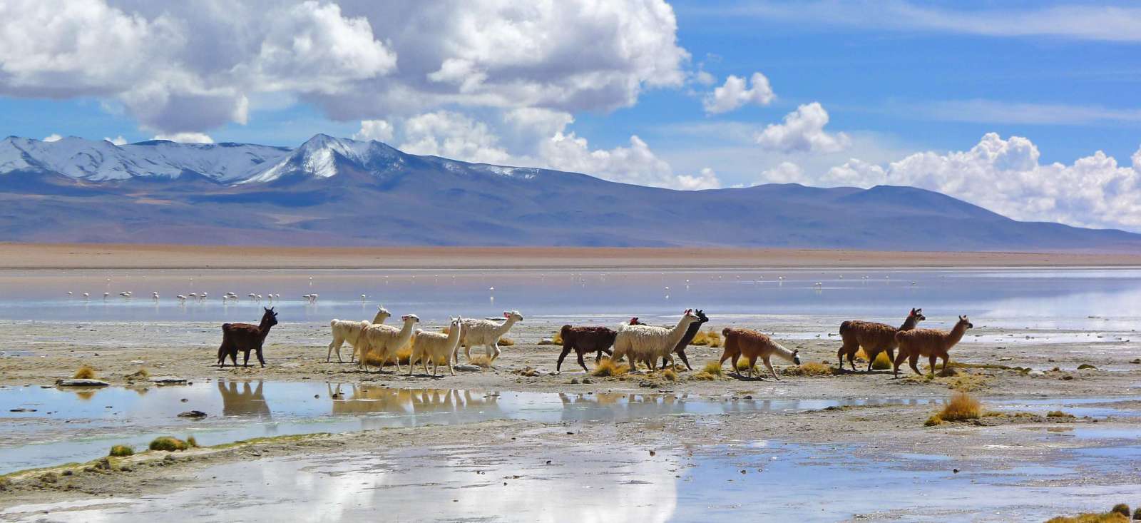 Image Les joyaux de la Bolivie