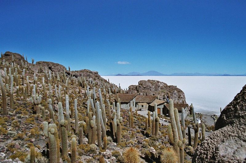 Salar de Uyuní depuis l'île d'Incahuasi - Province d'Antonio Quijarro - Département de Potosí - Bolivie