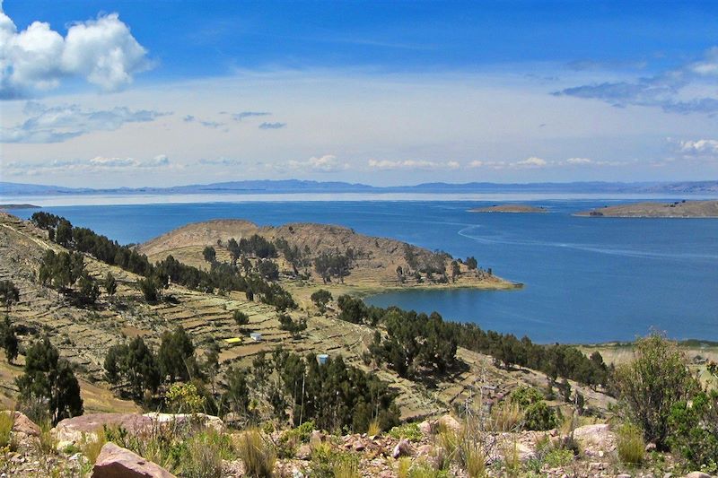 Lac Titicaca - Département de La Paz - Bolivie 