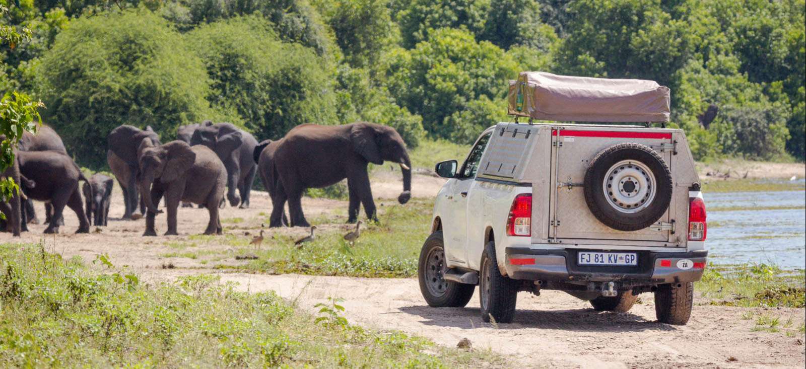Image Randos, 4x4 & Rhinos dans le grand sud