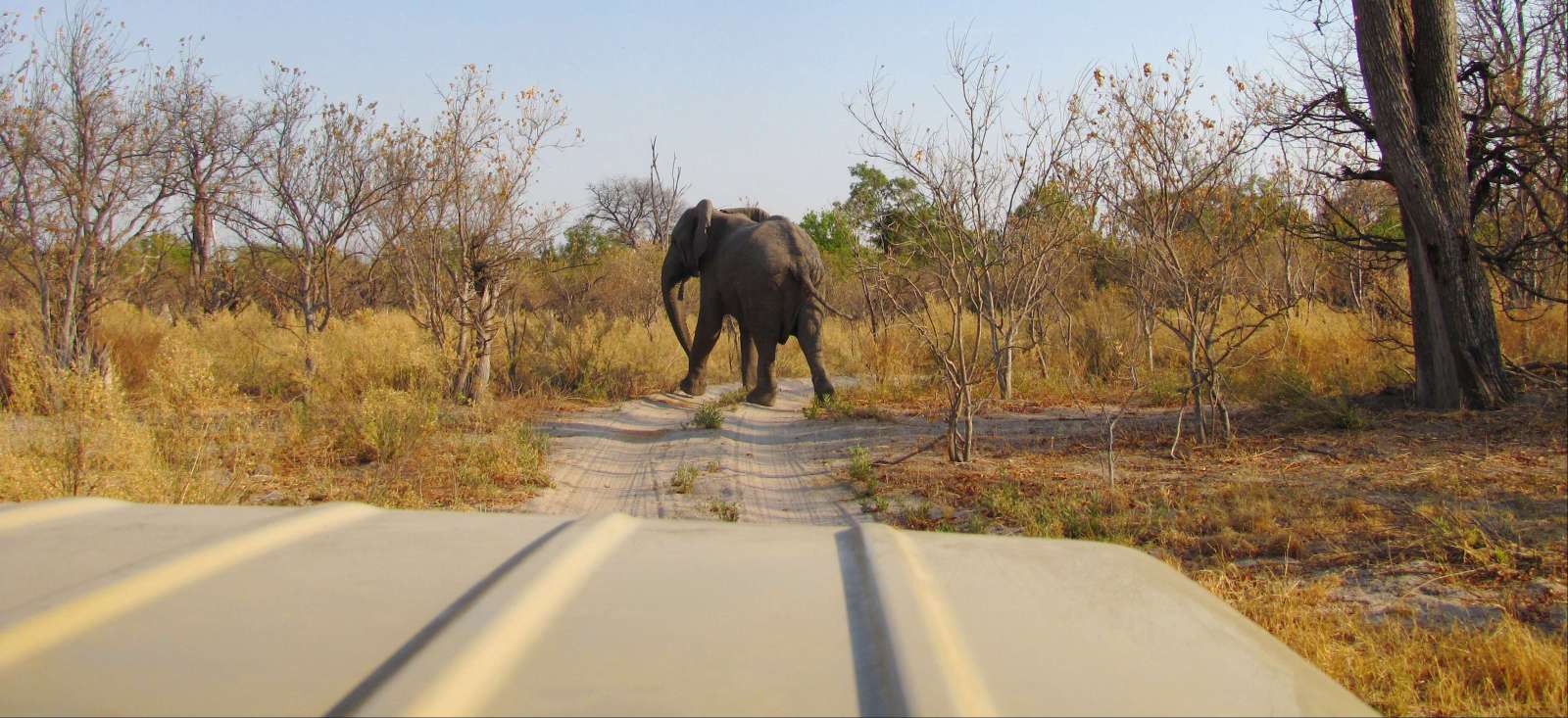 Image Maun / Victoria Falls en lodges de charme !