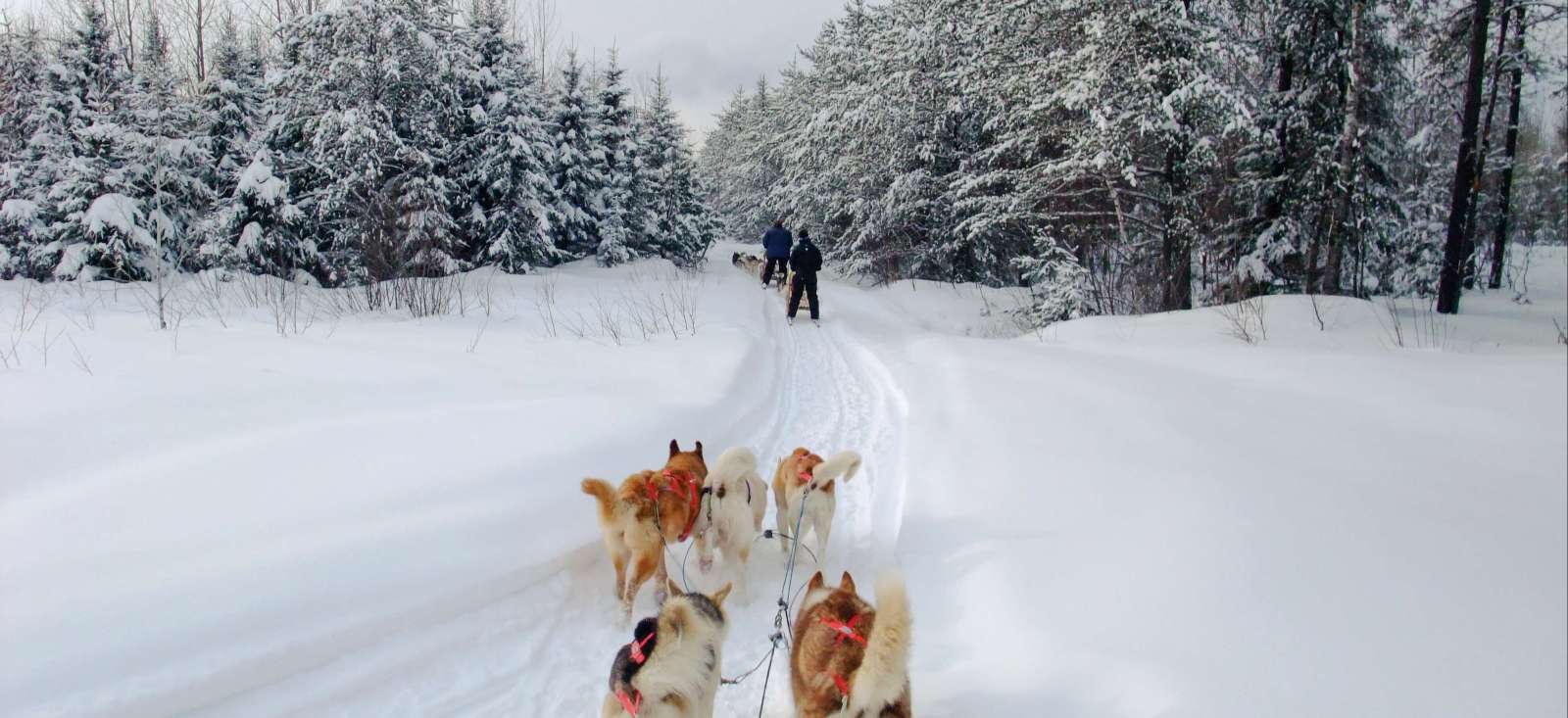 Voyage multi-activités Canada : Le Québec en hiver, c\'est l\'fun! Voyage multi-activités - Canada : Le Québec en hiver, c\'est l\'fun!
