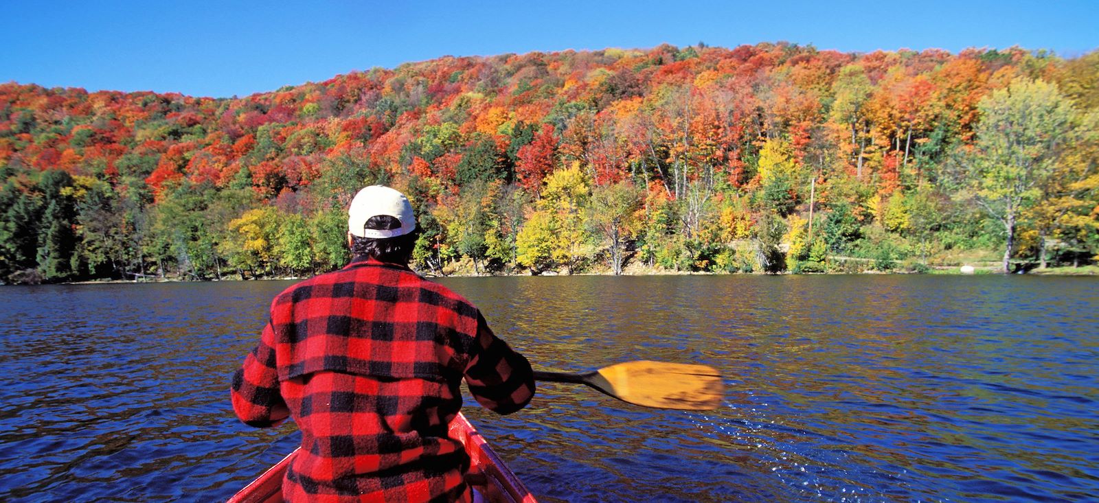 Image Le Québec, absolument !