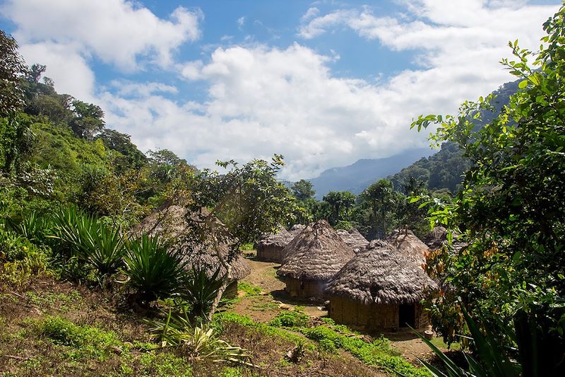 Habitations kogis dans la Sierra Nevada de Santa Marta - Colombie