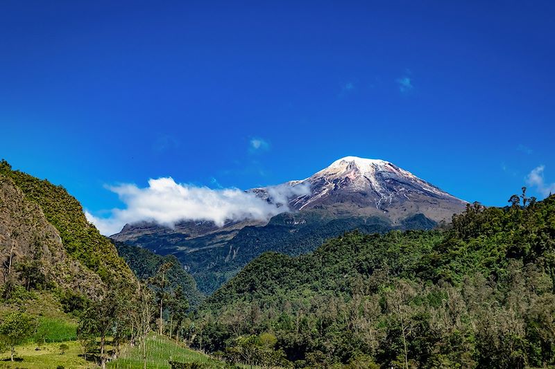 Nevado del Tolima - Cordillère centrale - Colombie