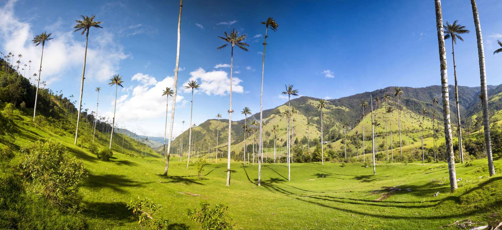 Voyage à thème Colombie : La Colombie sans concession Voyage à thème : La Colombie sans concession