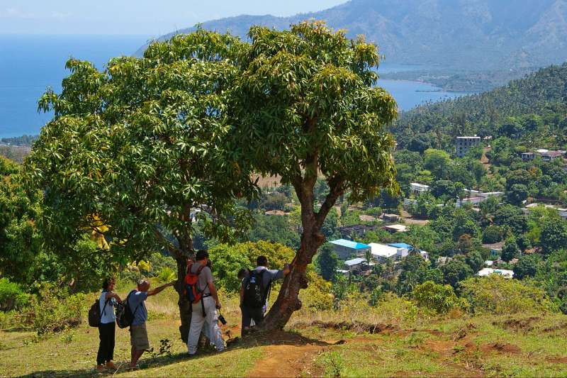 rencontre mayotte 976