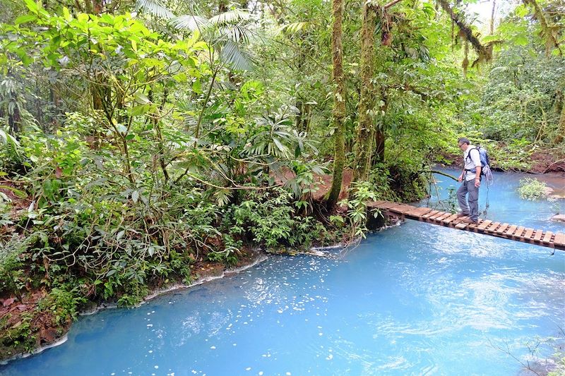 Pont dans le parc du volcan Tenorio - Guanacaste - Costa Rica