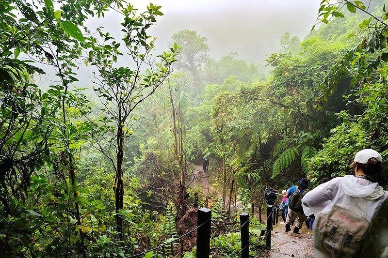 Parc national Volcán Tenorio - Guanacaste/Alajuela - Costa Rica