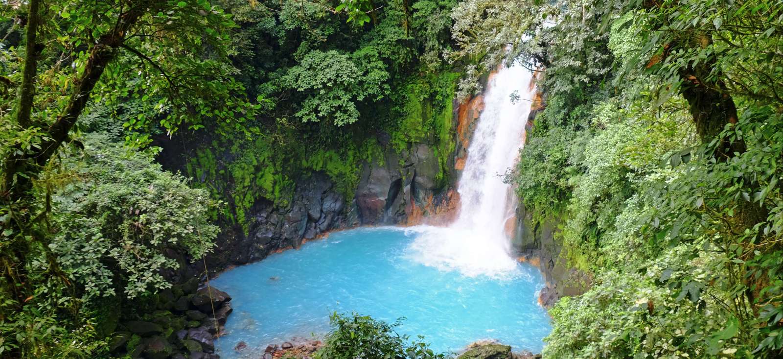 Image Le Paradis Tropical