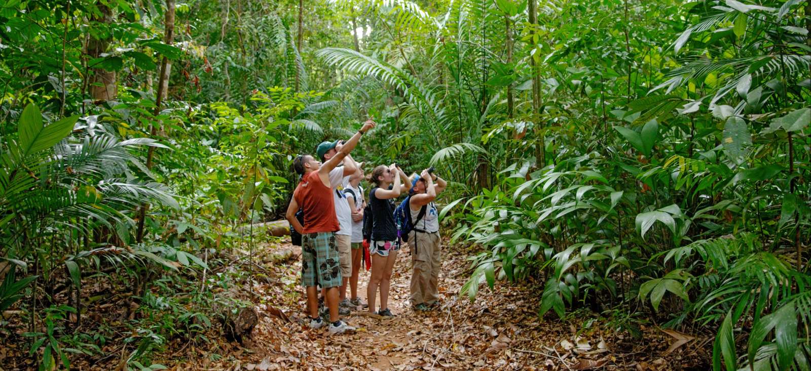 Image Pura Vida: l'aventure en famille !
