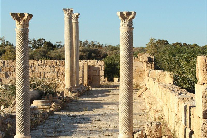 Site antique de Salamis - Chypre