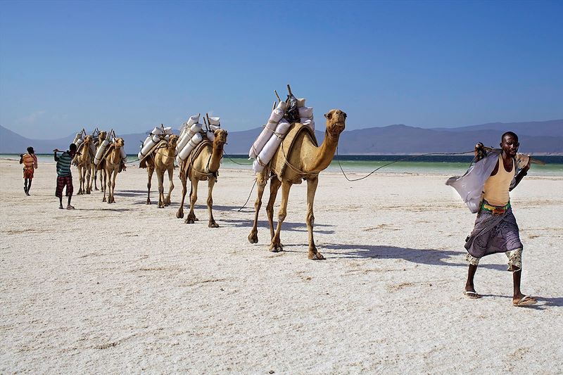 Caravane de sel du lac Assal vers les montagnes éthiopiennes - Djibouti