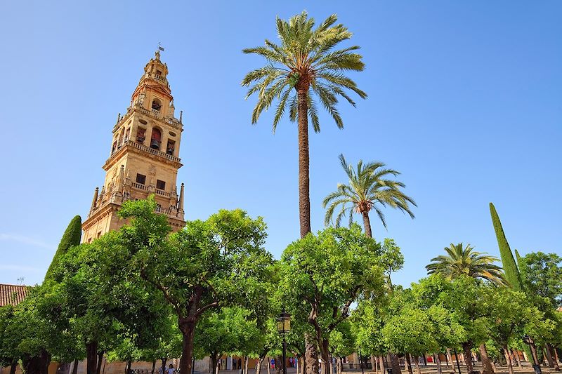 Cour des orangers de la mosquée-cathédrale de Cordoue - Espagne