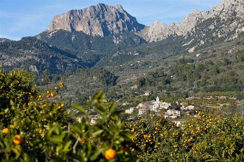 Vue sur les orangers de Biniaraix et le mont Puig Major - Ville de Soller - Serra de Tramuntana - Majorque - Espagne