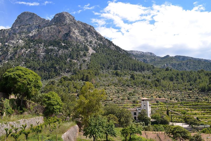 Village de Biniaraix - Majorque - Espagne