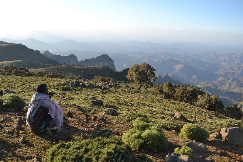 Route Gondar Sankaber - Parc du Simien - Ethiopie
