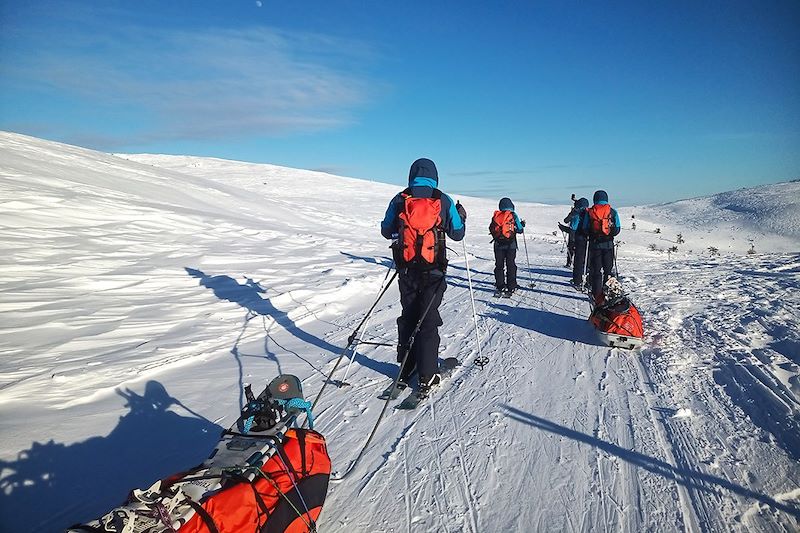 Expédition à ski en Laponie finlandaise