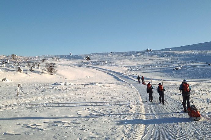 Expédition à ski en Laponie finlandaise