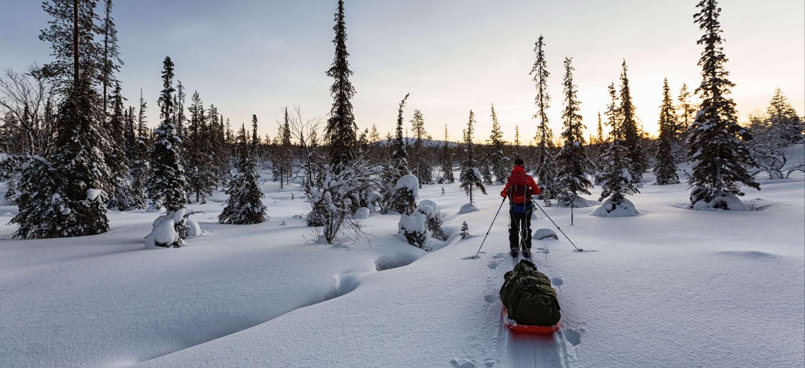 Image Ski nordique et pulka en Laponie finlandaise