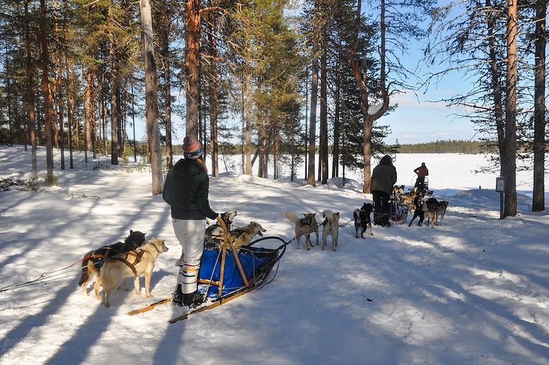 Raid en traîneau à chiens dans le parc national de Hossa - Laponie - Finlande
