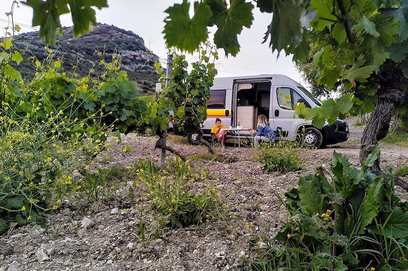 La route des vins en van - Tavignano - Corse