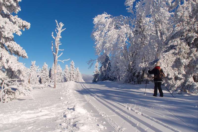 Image Balades au Pays des 4 Montagnes