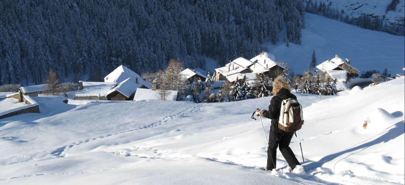 Image Au pays du Queyras