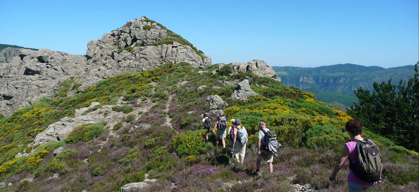 Trek - Le Caroux, perle sauvage des Cévennes