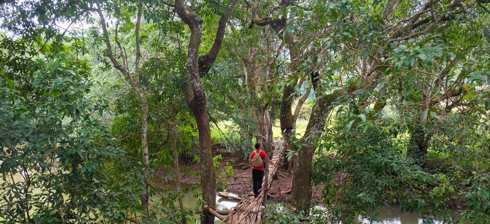 Trek Guinée : La Guinée, entre randos & rencontres ! Trek - La Guinée, entre randos & rencontres !