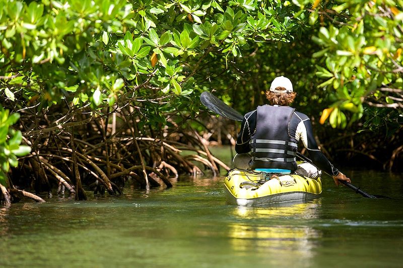 Canoë-kayak dans la mangrove du lagon du Grand Cul-de-Sac marin - Guadeloupe