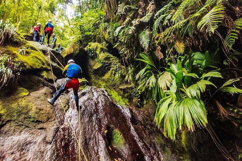 Canyoning à Gourbeyre - Basse-Terre - Guadeloupe