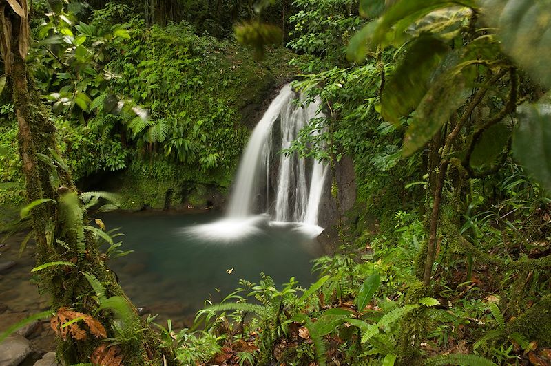 Cascade aux Ecrevisses - Basse-Terre - Guadeloupe