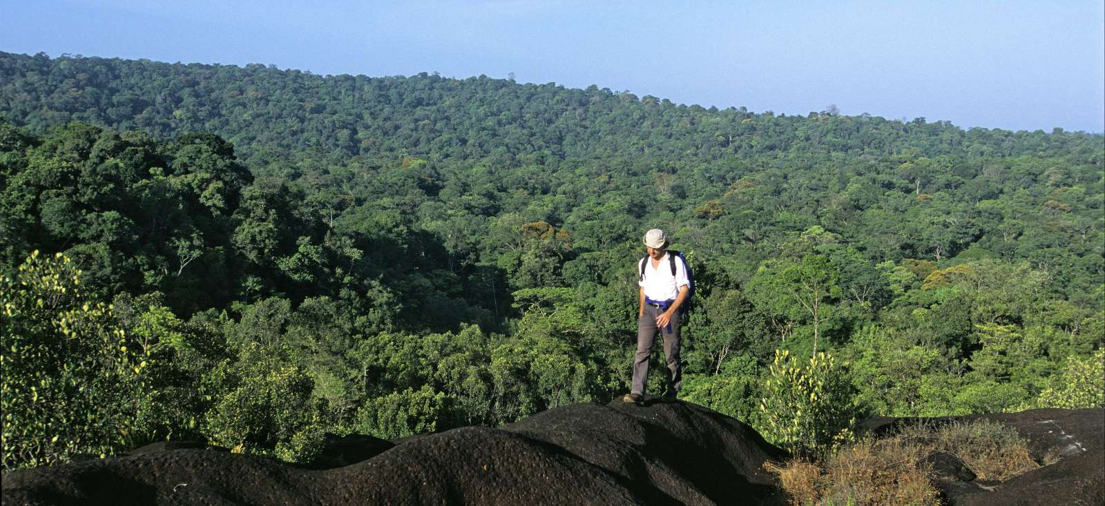 Image Au coeur de l'Amazonie