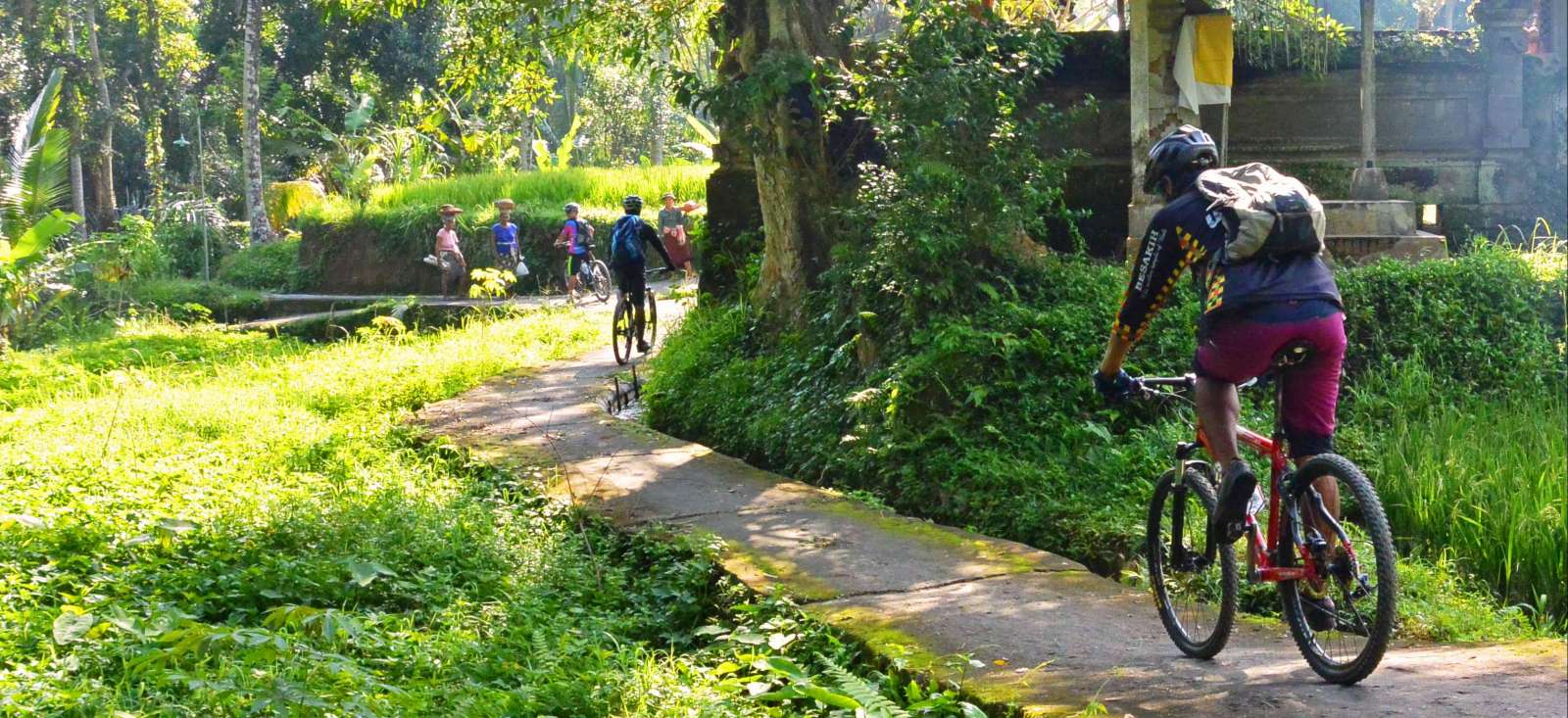 Image Belle échappée sur l'île de Bali