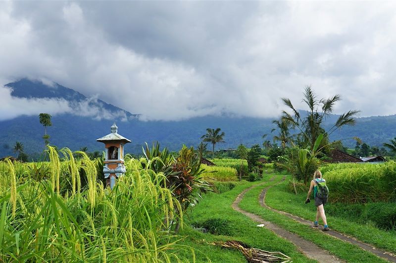 Jatiluwih - Bali - Indonésie