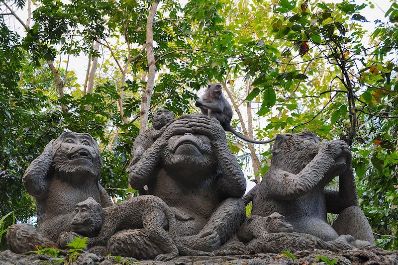 Singe et singes de la sagesse à Ubud - Bali - Indonésie