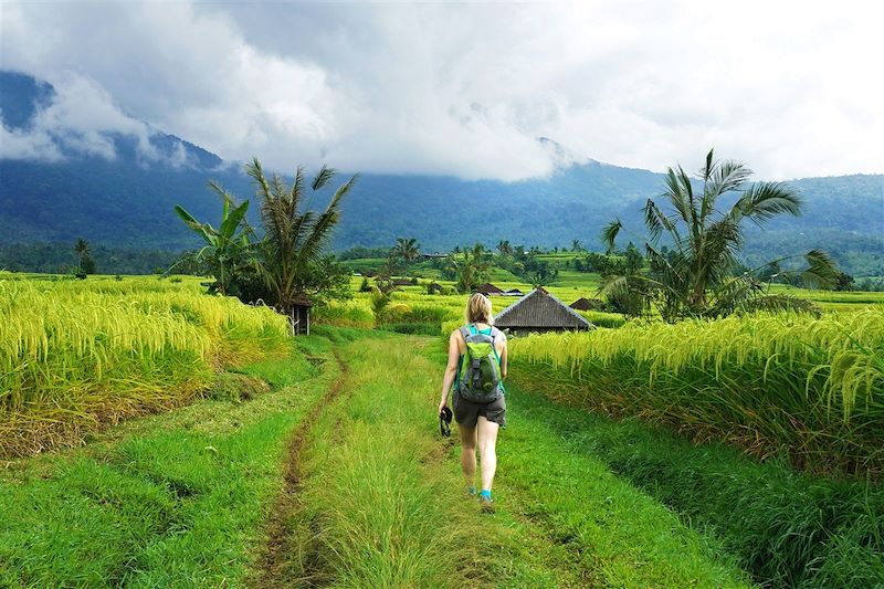 Randonnée dans les rizières de Jatiluwih - Kabupaten de Tabanan - Bali - Province de Bali - Indonésie