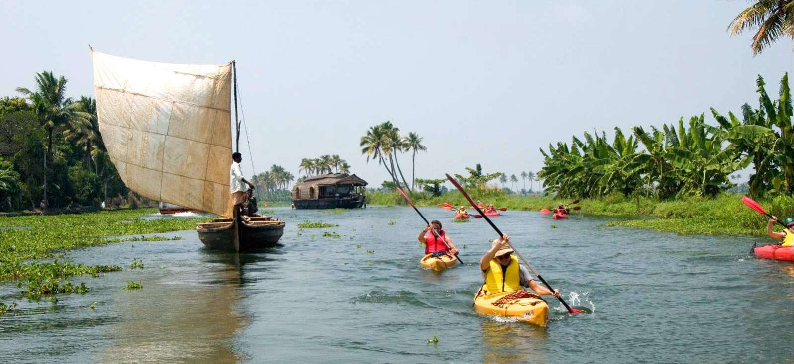 Image Le Kerala à pied, en vélo et sur l'eau !