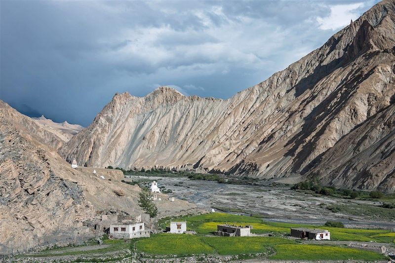 Vallée de Markha - Jammu-et-Cachemire - Inde
