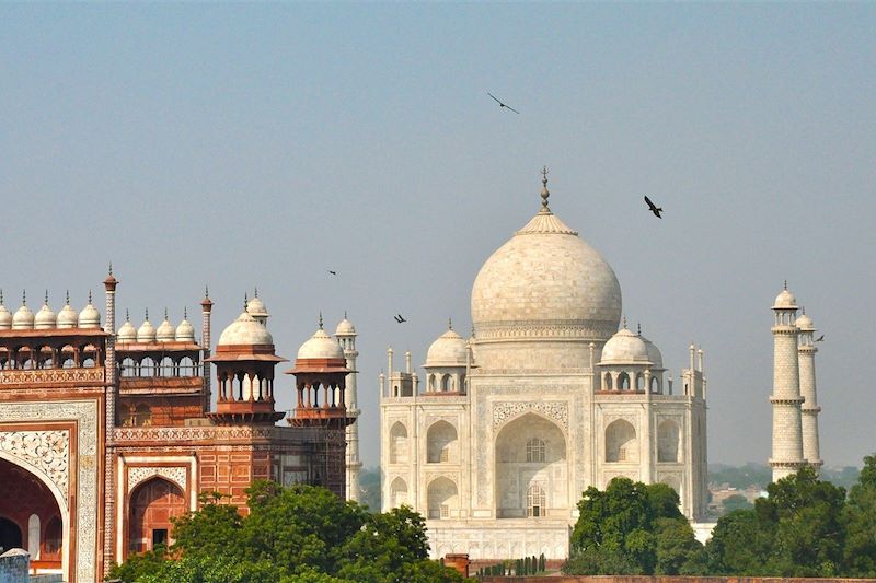 Le Taj Mahal - Agra - Inde