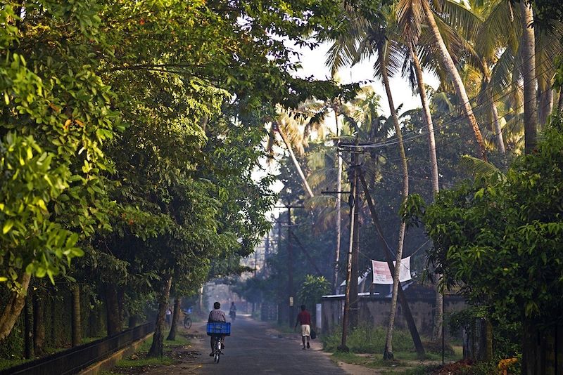 Le long d'une route du Kerala - Inde du Sud