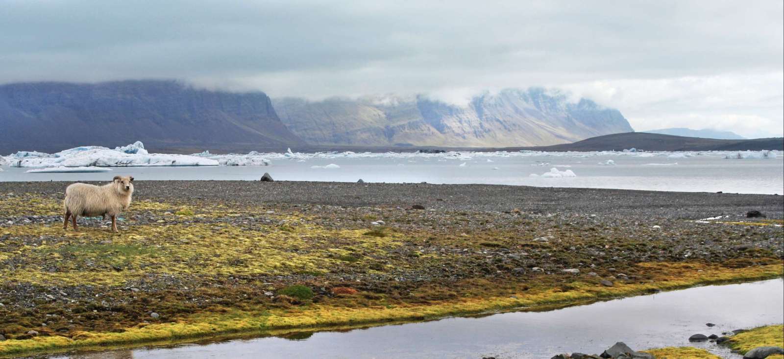 Image Un concentré d'Islande