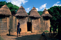 Tata somba et faune de la Pendjari