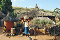 Baobabs et Balafons