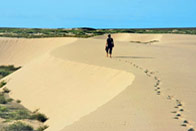 Extension: Boa Vista, l'île aux dunes
