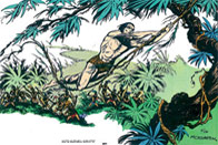 Sur les traces de Tarzan
